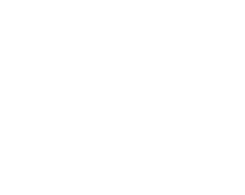 Dutch Natural Healing logo